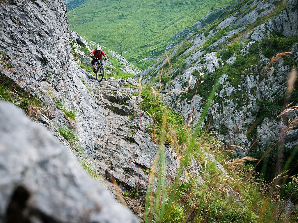 Amazing trails