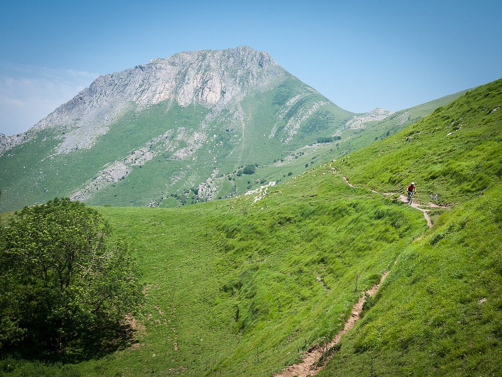 Miles of singletrack